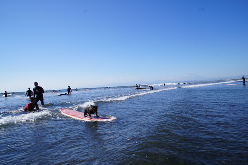 c0298565_721623.jpg