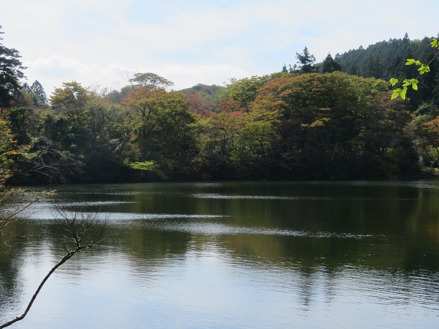 c0042869_824353.jpg