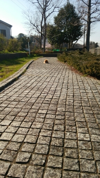 d0177473_12092492.jpg