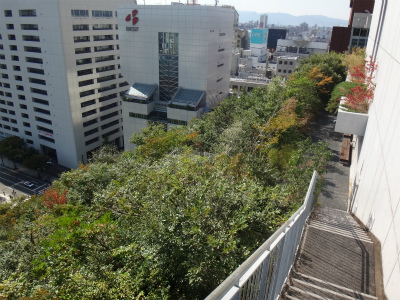 d0182075_4284276.jpg