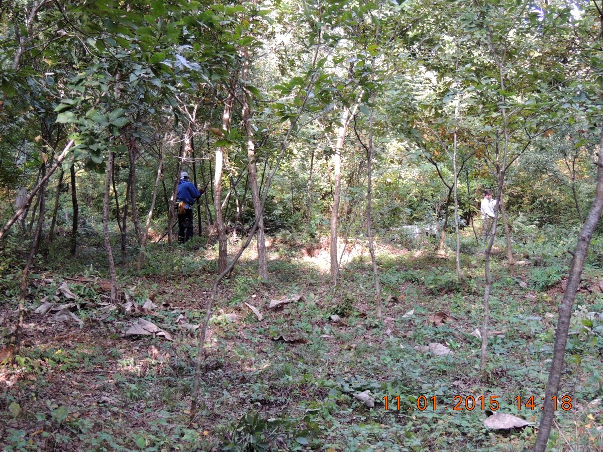 f0104277_2081352.jpg