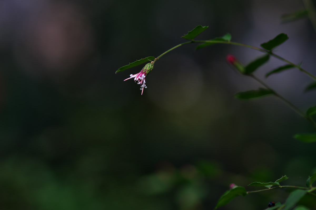 a0083081_21415216.jpg