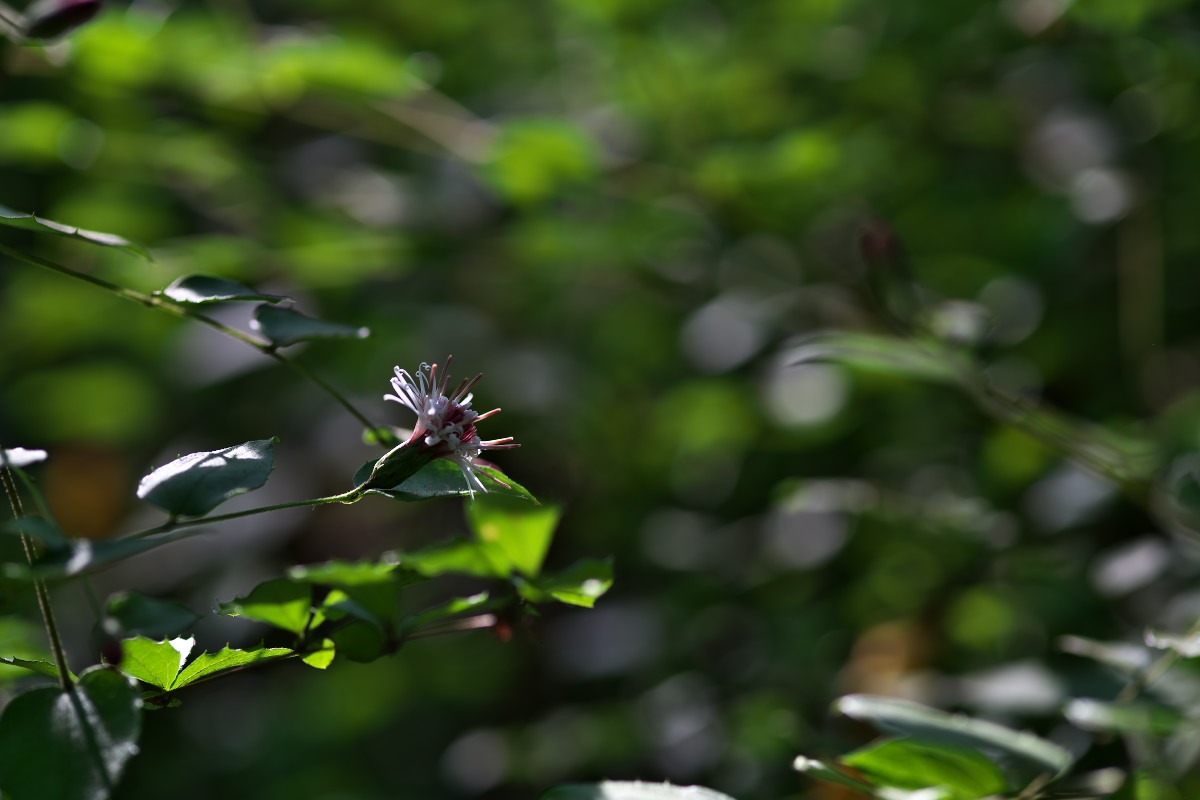 a0083081_2142162.jpg