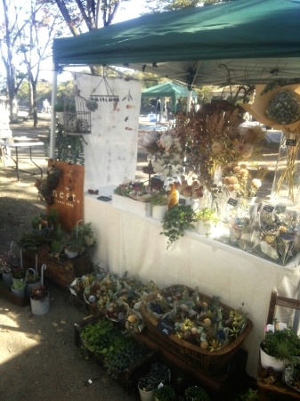 b0245883_22093553.jpg