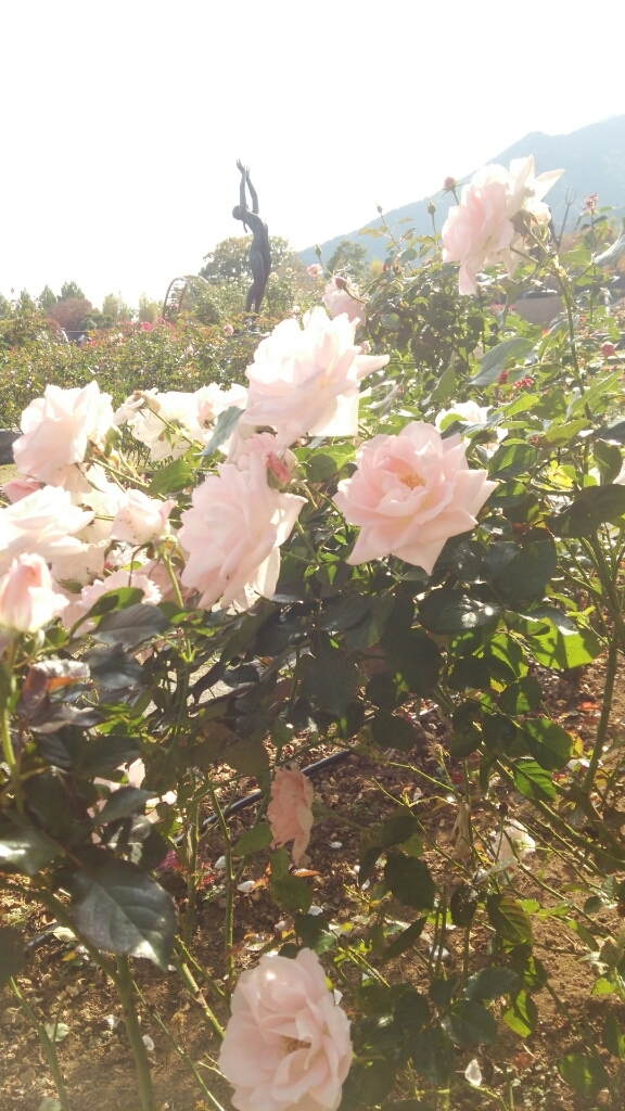 c0348784_16010025.jpg