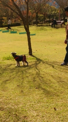 c0348784_16010289.jpg