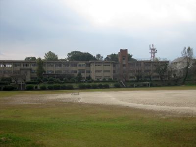 d0021786_1352346.jpg
