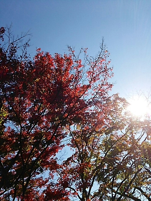 b0163088_11412649.jpg