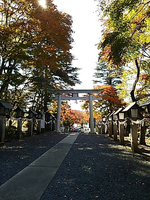 b0163088_11412992.jpg