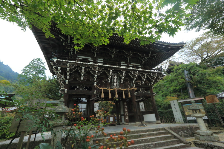 e0051888_4281824.jpg