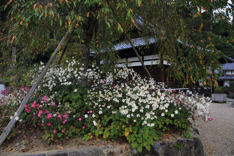 e0051888_429660.jpg