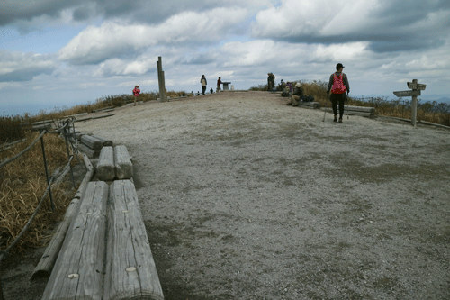 c0193289_18461538.gif