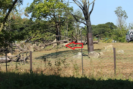 f0297893_14441411.jpg