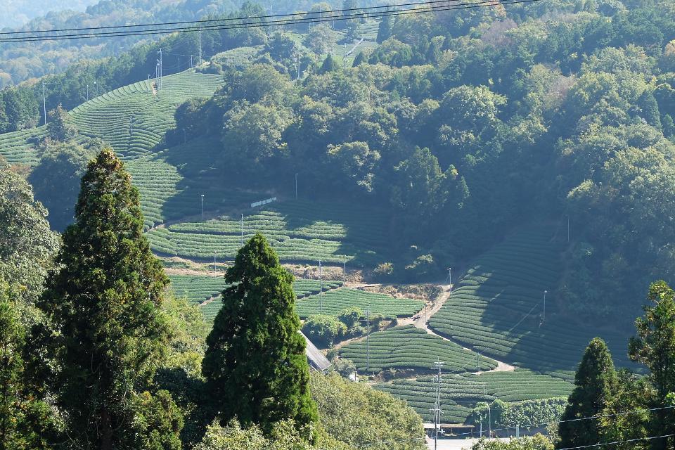 d0069495_09354965.jpg
