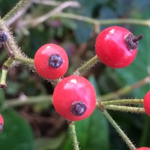 f0201297_08202954.jpg