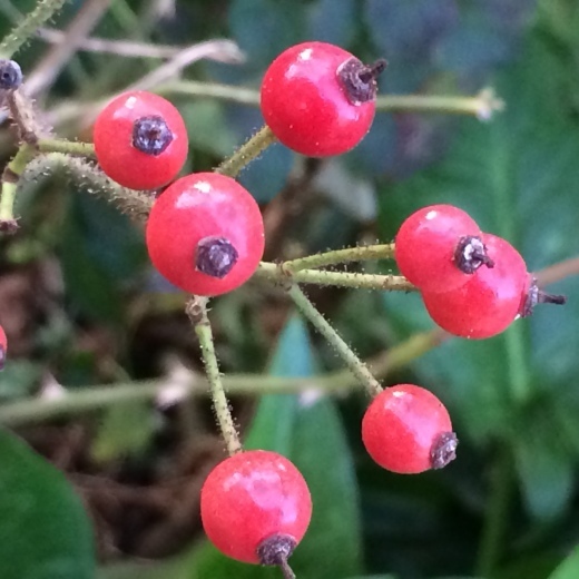 f0201297_09023022.jpg