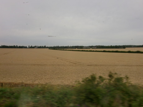 f0250403_13000745.jpg