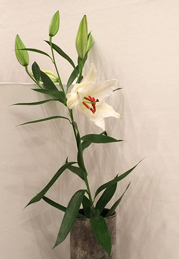 a0043405_6323681.jpg