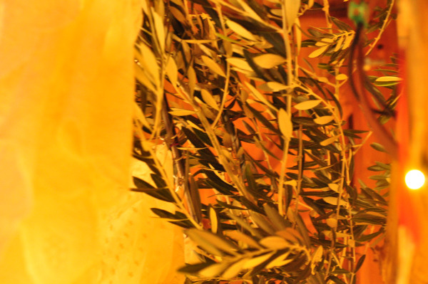 f0188408_13304437.jpg
