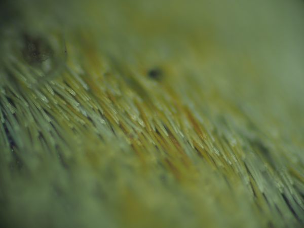 c0164709_21221240.jpg