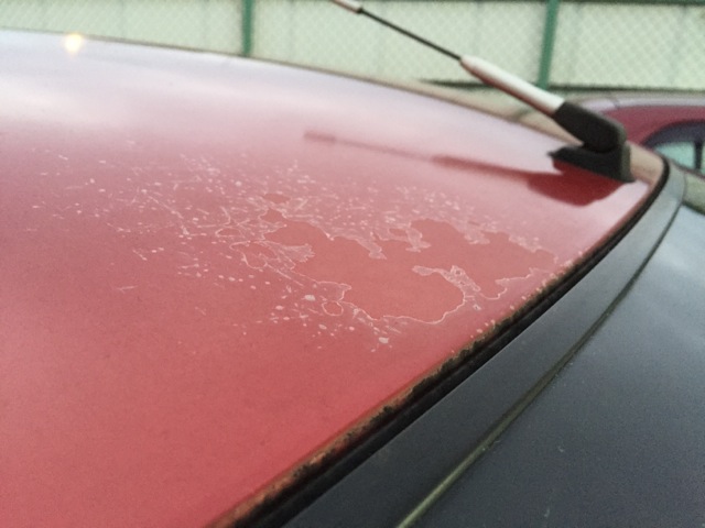 c0004211_11534440.jpg
