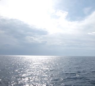 b0309813_1510728.jpg