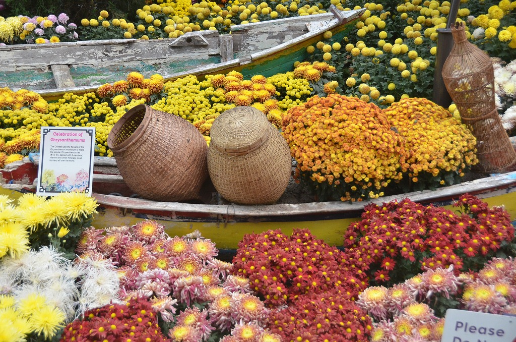 d0065116_20402757.jpg