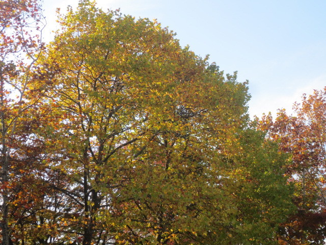 f0248616_21325286.jpg