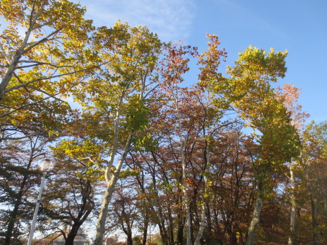 f0248616_21330674.jpg