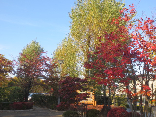 f0248616_21344834.jpg