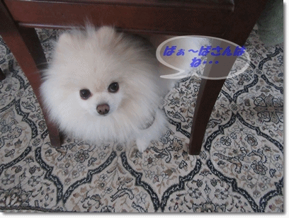 b0167519_20315955.gif