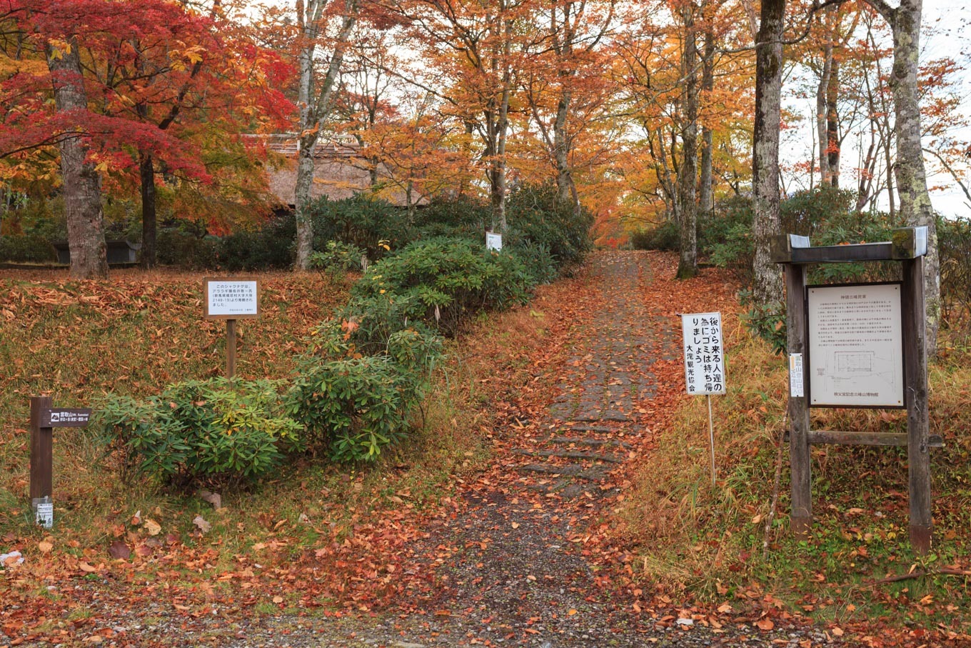 c0369219_16151544.jpg