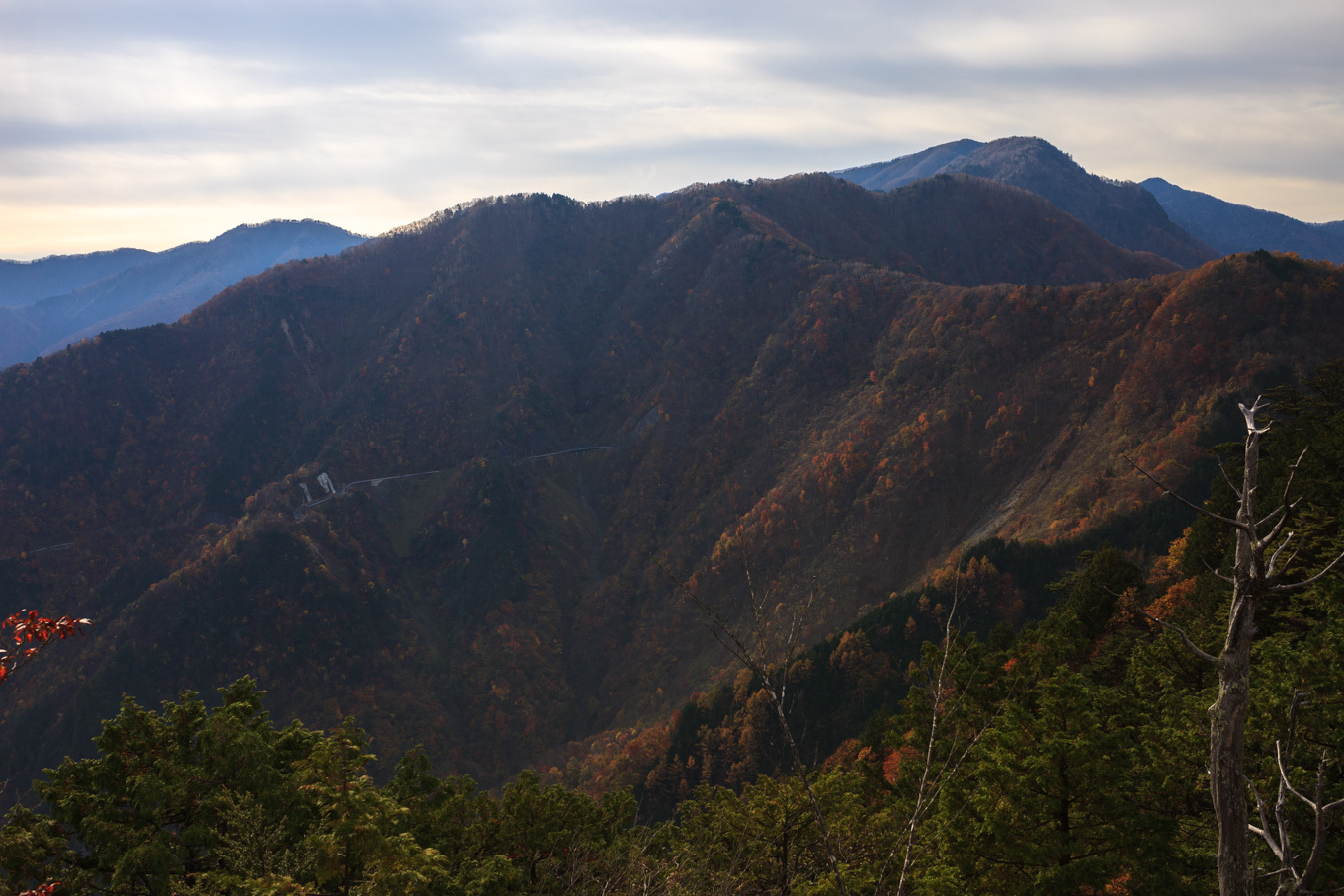 c0369219_21314223.jpg