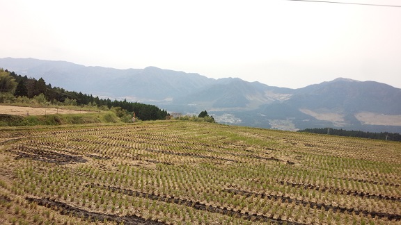 f0031420_018890.jpg