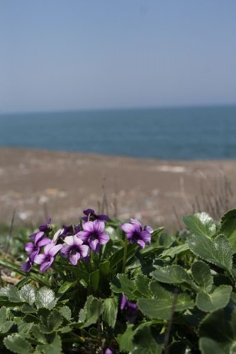 a0040021_815396.jpg