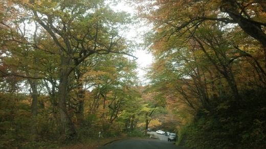 c0173826_00383439.jpg