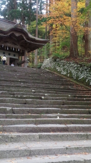 c0173826_00384860.jpg