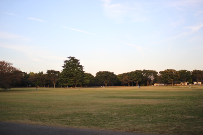 d0195731_10292351.jpg