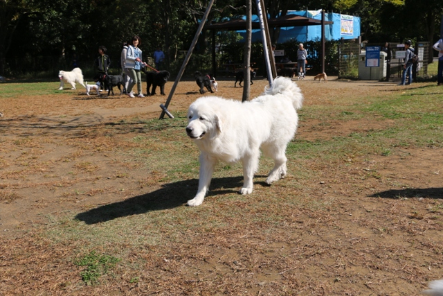 f0077931_175813.jpg