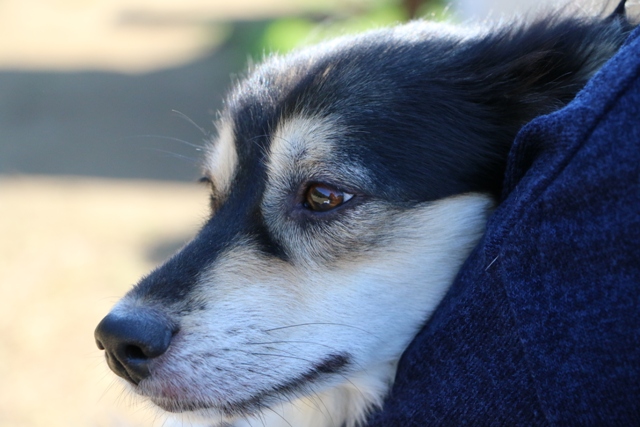f0077931_1772014.jpg
