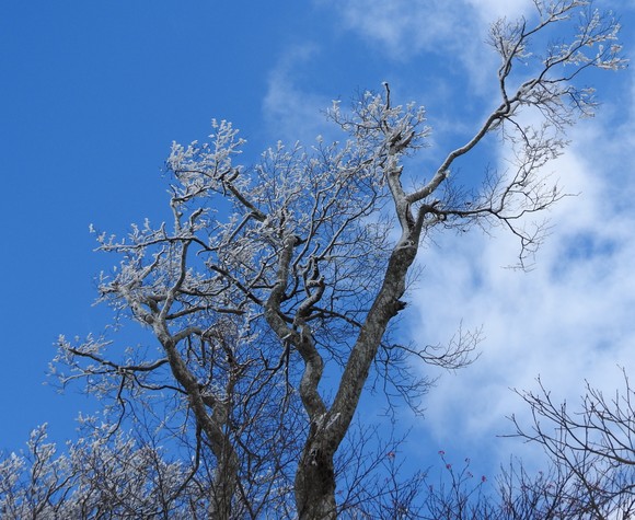 f0118332_026517.jpg