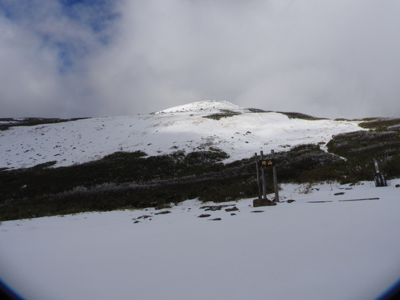 f0118332_028390.jpg