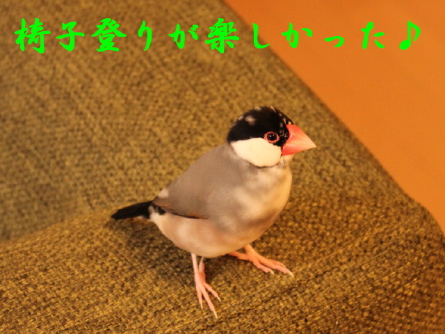 c0365734_23025908.jpg