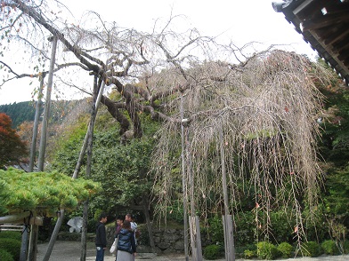c0077338_5512961.jpg