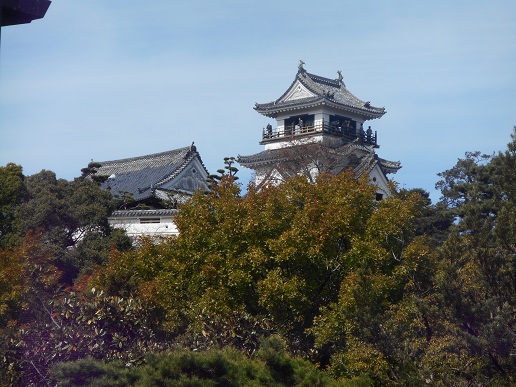 a0124543_1450156.jpg
