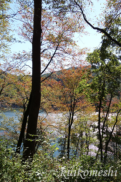 a0135743_9382643.jpg