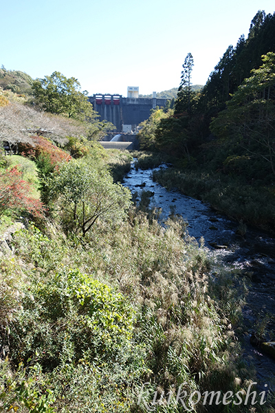 a0135743_951530.jpg