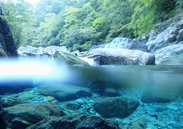 c0339546_2146146.jpg