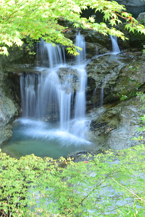 c0339546_21461965.jpg
