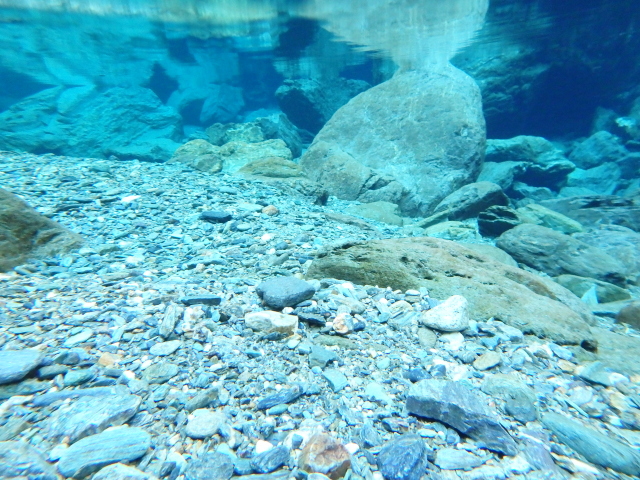 c0339546_2146525.jpg